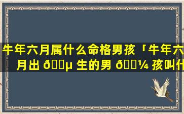 牛年六月属什么命格男孩「牛年六月出 🌵 生的男 🐼 孩叫什么名字好」